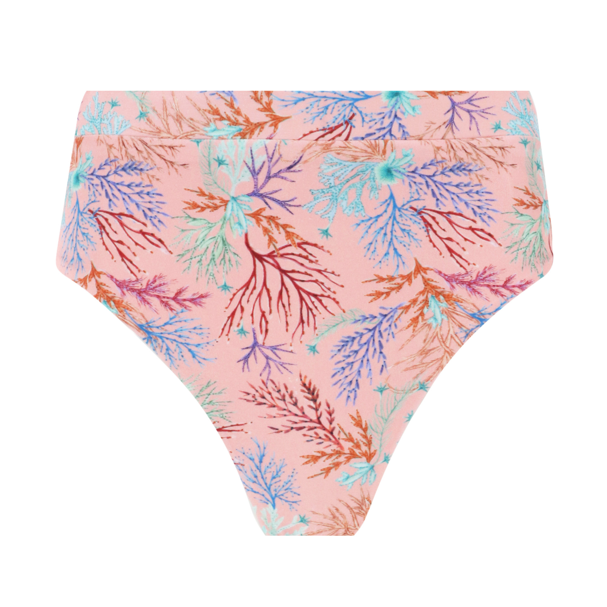 Seaweed High Waist Bikini Bottom